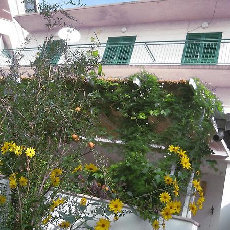 Apartman Sulic พอดโกรา ภายนอก รูปภาพ